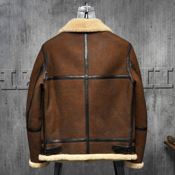 Men's B3 Shearling Dark Brown Leather Jacket Back
